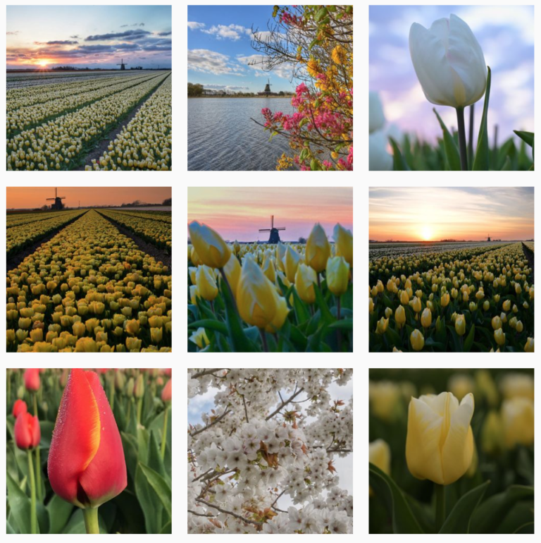 instagram feed fotografie_danielle 02