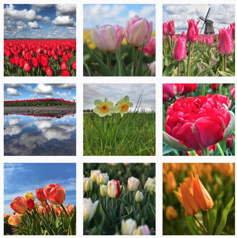 instagram feed fotografie_danielle 03